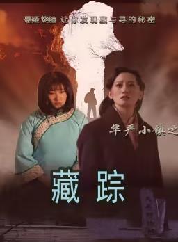 華嚴小鎮2之藏蹤(全集)
