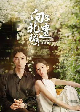 向北的遺憾 第19集