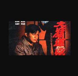 天涯追兇國語(yǔ)版