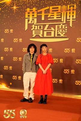 萬(wàn)千星輝賀臺慶 2022