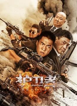 護衛者2