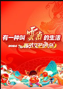 202云南省春節文藝晚會(huì )
