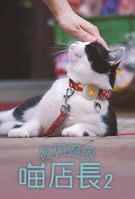 他和她的喵店長(cháng)2